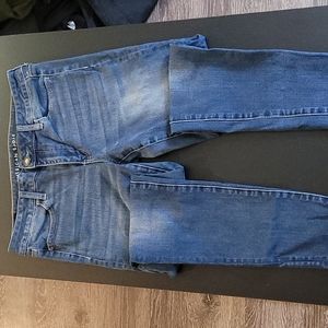 American Eagle Blue Skinny Jean